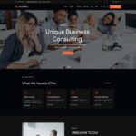 WordPress Theme -Multiplex Pro