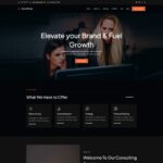 Best Free WordPress Business -MultiFlex